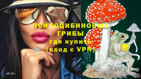 не бодяженный Абаза
