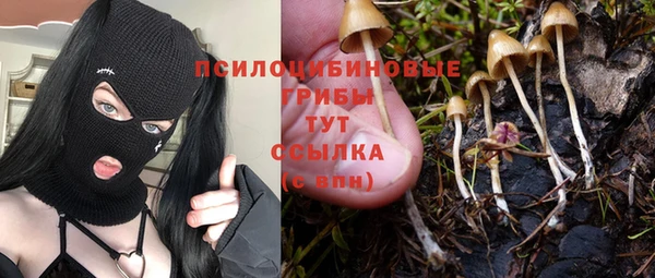 а пвп мука Абдулино