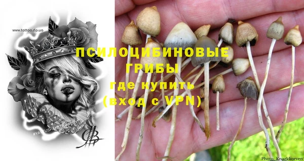 а пвп мука Абдулино
