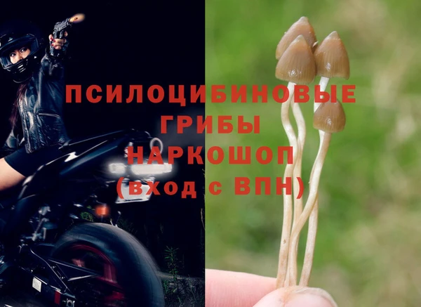 не бодяженный Абаза