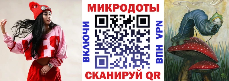 где можно купить   Поворино  Галлюциногенные грибы Psilocybine cubensis 