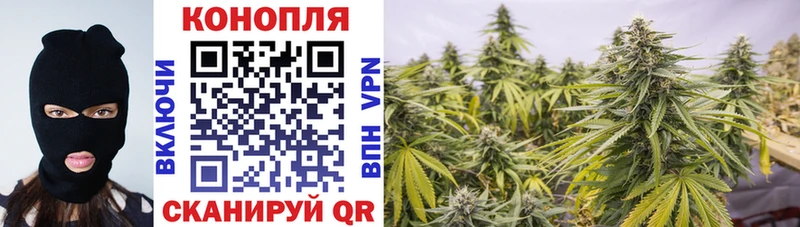 купить   Поворино  Каннабис Amnesia 